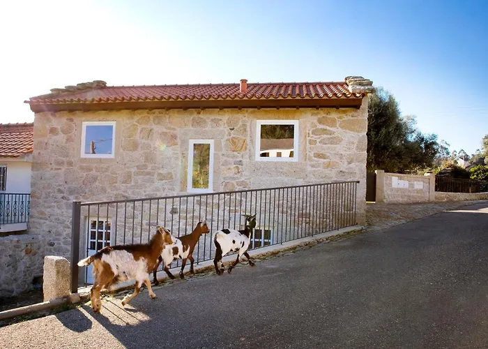 Tio Ze - Casas De Selim