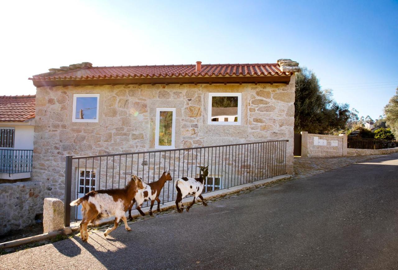 Tio Ze - Casas De Selim Arcos de Valdevez